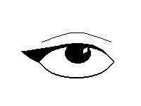 Cat Eye's
