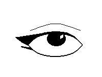 Double Cat Eye's
