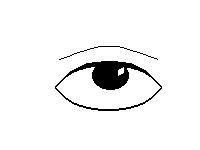 Basic Outline