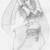 Veiled Mystique (2005).  Pencil. By: Cassandra Strand.